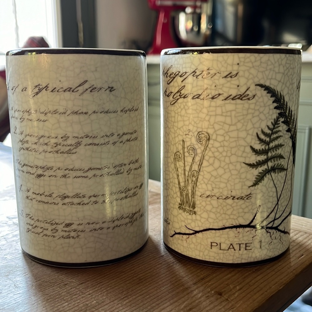 Pottery Barn “Life cycle of a typical fern” ceramic bathroom tumblers (two)